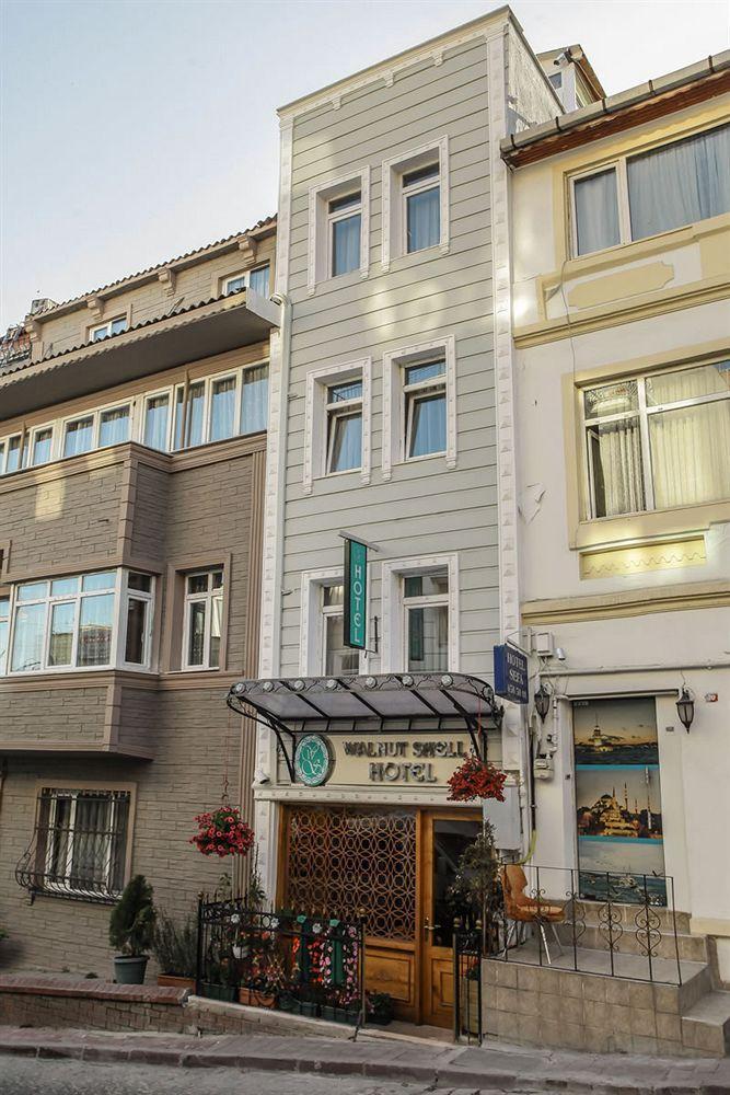 Walnut Shell Sultanahmet Istambul