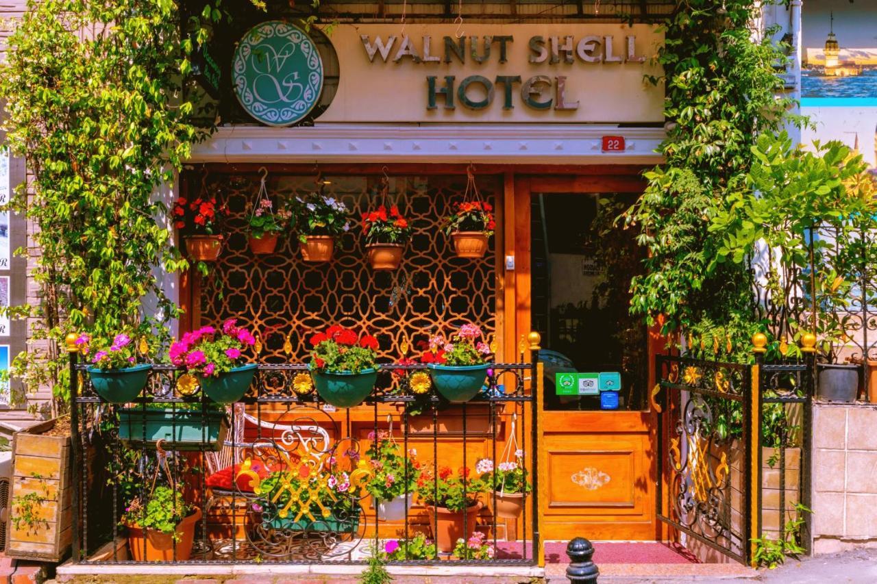 Walnut Shell Sultanahmet Istambul